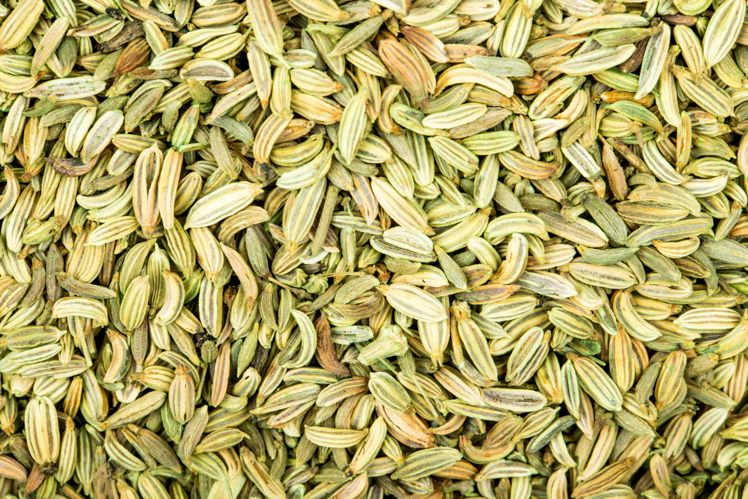 Cumin Seeds